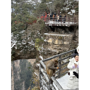 Picture China Zhangjiajie 2026-01 115 - Sight Zhangjiajie
