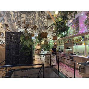 Picture Ukraine Lviv Restaurants 2024-10 102 - Travels Restaurants