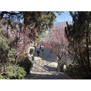 Picture China Lijiang 2026-01 588 - Tourist Places Lijiang