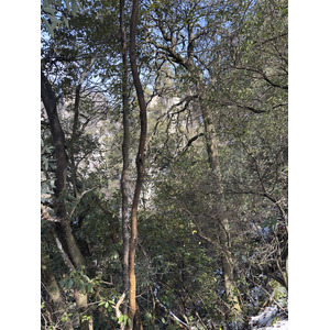 Picture China Zhangjiajie Tianzi Mountrain 2026-01 83 - Perspective Tianzi Mountrain
