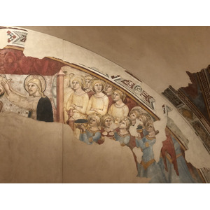 Picture Italy Urbino 2024-09 143 - Photographer Urbino