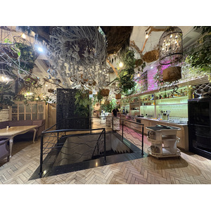 Picture Ukraine Lviv Restaurants 2024-10 83 - Sight Restaurants