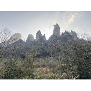 Picture China Zhangjiajie Tianzi Mountrain 2026-01 97 - Sightseeing Tianzi Mountrain