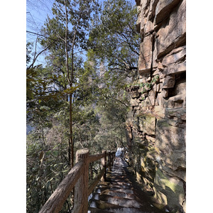 Picture China Zhangjiajie Tianzi Mountrain 2026-01 159 - Discover Tianzi Mountrain