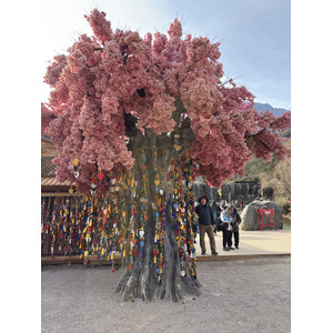 Picture China Lijiang Blue moon valley 2026-01 156 - Photographers Blue moon valley