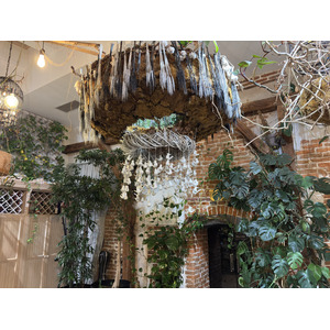Picture Ukraine Lviv Restaurants 2024-10 158 - Photo Restaurants