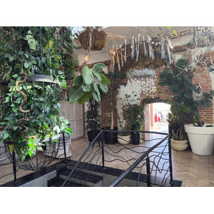 Picture Ukraine Lviv Restaurants 2024-10 123 - Sight Restaurants