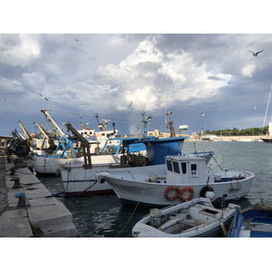Picture Italy Trani 2024-09 77 - Sight Trani
