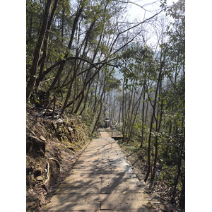 Picture China Zhangjiajie Tianzi Mountrain 2026-01 4 - Picture Tianzi Mountrain