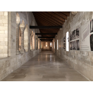 Picture Italy Trani 2024-09 68 - Trip Trani