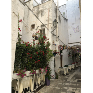 Picture Italy Ostuni 2024-09 12 - Flight Ostuni