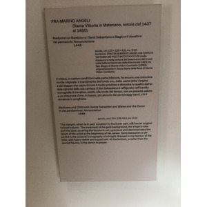 Picture Italy Urbino 2024-09 119 - Travels Urbino