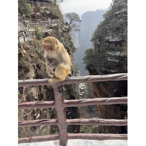 Picture China Zhangjiajie 2026-01 262 - Sight Zhangjiajie