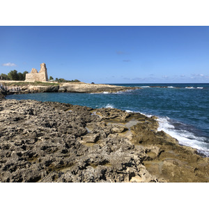 Picture Italy Monopoli 2024-09 76 - Pictures Monopoli