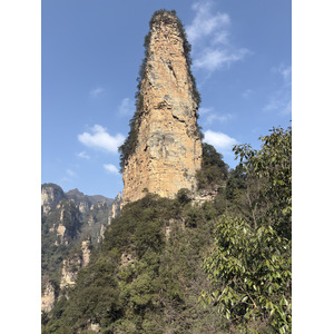Picture China Zhangjiajie Tianzi Mountrain 2026-01 68 - Pictures Tianzi Mountrain
