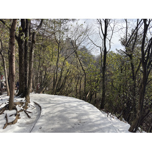 Picture China Zhangjiajie Tianzi Mountrain 2026-01 126 - Trips Tianzi Mountrain