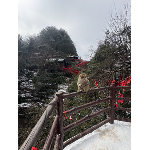 Picture China Zhangjiajie 2026-01 258 - Photos Zhangjiajie