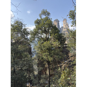 Picture China Zhangjiajie Tianzi Mountrain 2026-01 238 - View Tianzi Mountrain
