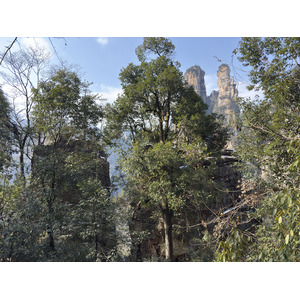 Picture China Zhangjiajie Tianzi Mountrain 2026-01 120 - Perspective Tianzi Mountrain