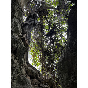 Picture Vietnam Ha Long Bay Sung Sot Cave 2024-01 38 - Road Map Sung Sot Cave