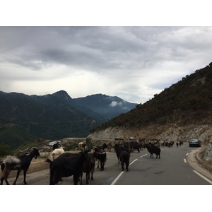 Picture France Corsica Valle d'alesani 2017-07 1