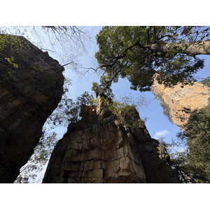 Picture China Zhangjiajie Tianzi Mountrain 2026-01 12 - Trail Tianzi Mountrain
