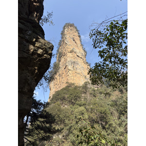 Picture China Zhangjiajie Tianzi Mountrain 2026-01 101 - View Tianzi Mountrain