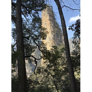 Picture China Zhangjiajie Tianzi Mountrain 2026-01 9 - Randonee Tianzi Mountrain