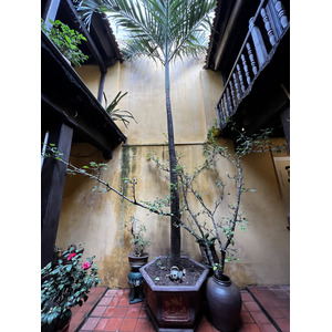 Picture Vietnam Hanoi Heritage House 2024-01 27 - Road Heritage House