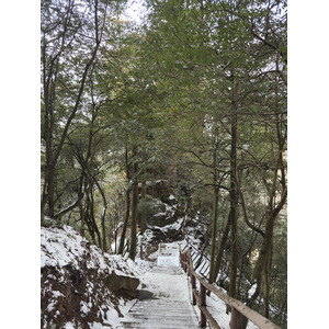 Picture China Zhangjiajie Tianzi Mountrain 2026-01 105 - Views Tianzi Mountrain
