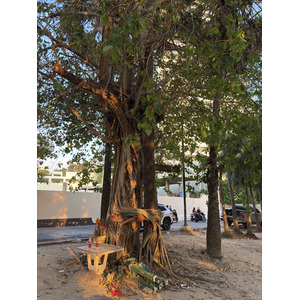Picture Thailand Pattaya Dongtan beach 2025-12 32 - Store Dongtan beach