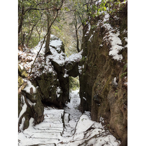 Picture China Zhangjiajie Tianzi Mountrain 2026-01 294 - Pictures Tianzi Mountrain