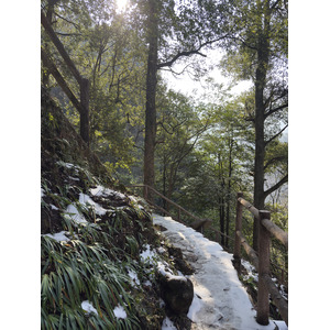 Picture China Zhangjiajie Tianzi Mountrain 2026-01 205 - Trail Tianzi Mountrain