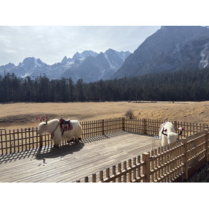 Picture China Lijiang Blue moon valley 2026-01 61 - Trail Blue moon valley