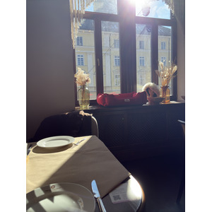 Picture Ukraine Lviv Restaurants 2024-10 93 - Picture Restaurants