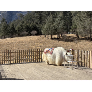 Picture China Lijiang Blue moon valley 2026-01 46 - Sightseeing Blue moon valley