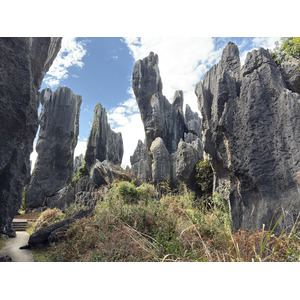 Picture China Shilin Stone Forest 2026-01 126 - Travels Shilin Stone Forest