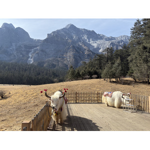 Picture China Lijiang Blue moon valley 2026-01 93 - Discover Blue moon valley