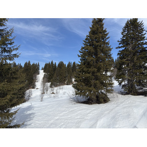Picture France Praz sur Arly 2025-02 73