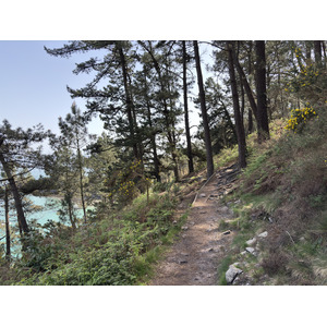 Picture France Crozon Ile Vierge Beach 2026-04 37 - Picture Ile Vierge Beach
