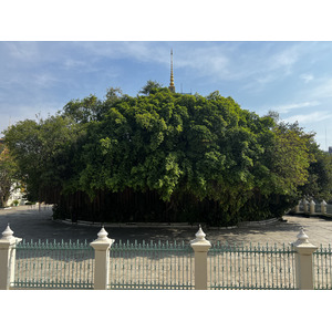 Picture Cambodia Phnom Penh Royal Palace 2024-01 66 - Tourist Attraction Royal Palace
