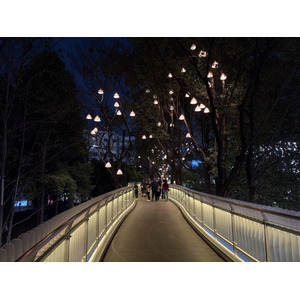 Picture China Kunming 2026-01 78 - Randonee Kunming