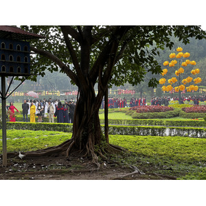 Picture Vietnam Hanoi Thang Long Citadel 2024-01 31 - Trail Thang Long Citadel