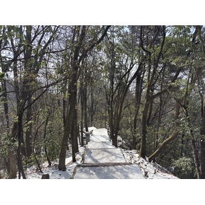 Picture China Zhangjiajie Tianzi Mountrain 2026-01 350 - Photographers Tianzi Mountrain