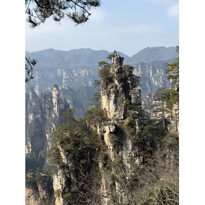 Picture China Zhangjiajie Tianzi Mountrain 2026-01 103 - Discover Tianzi Mountrain