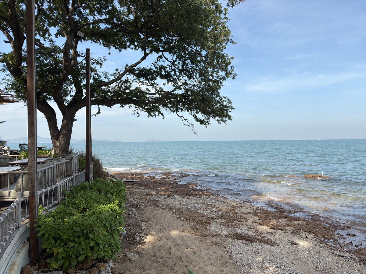 Picture Thailand Pattaya Oxygen Restaurant 2024-12 73 - Rooms Oxygen Restaurant