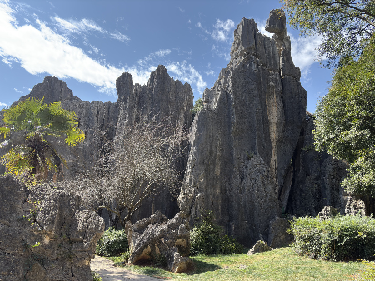 Picture China Shilin Stone Forest 2026-01 288 - Night Shilin Stone Forest