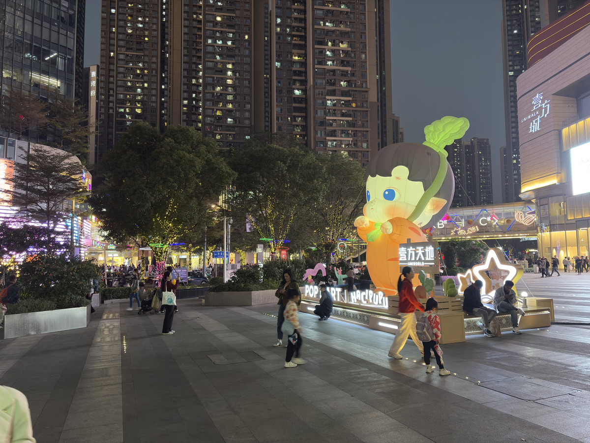 Picture China Shenzhen 2026-01 47 - Price Shenzhen