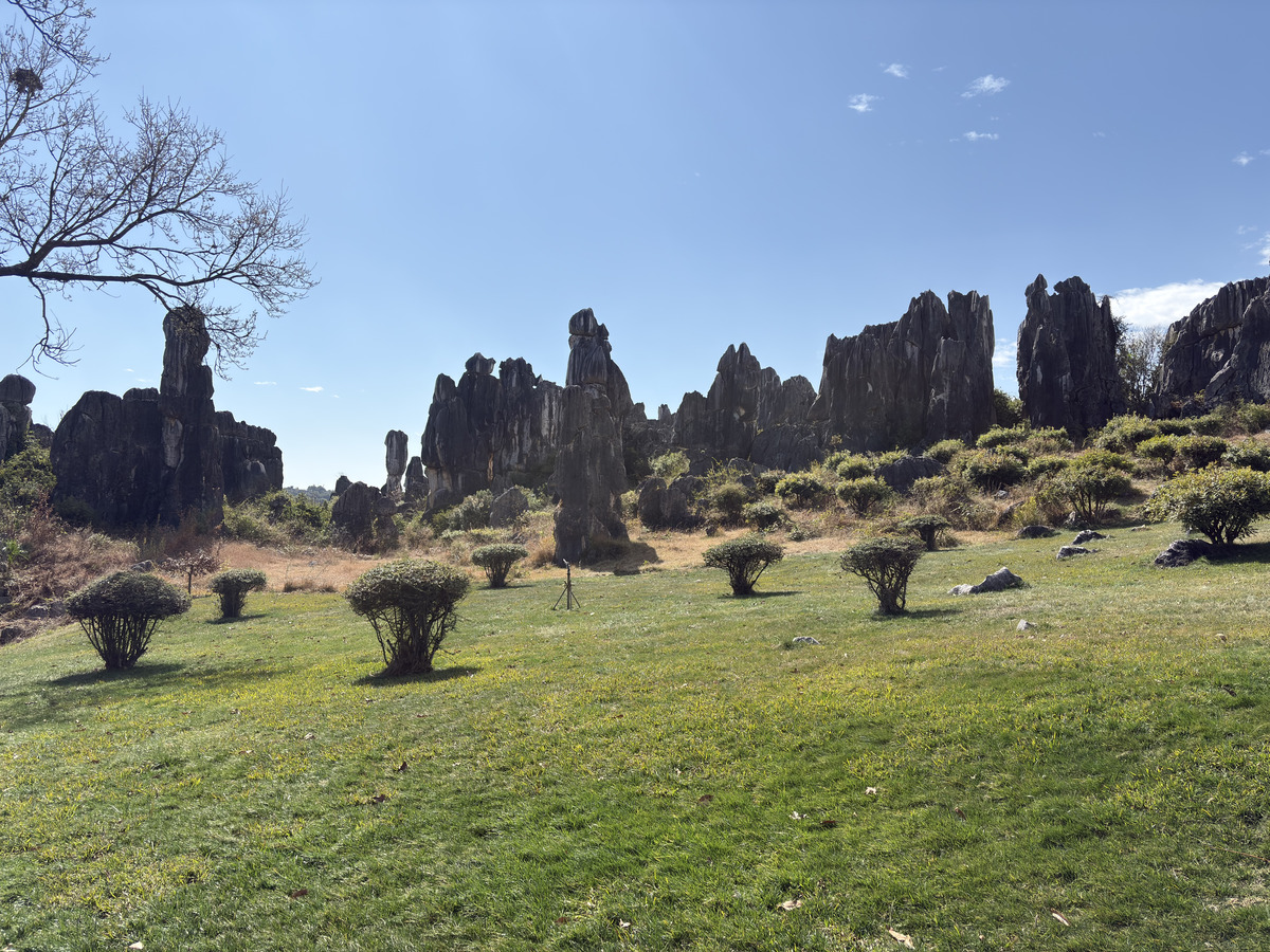 Picture China Shilin Stone Forest 2026-01 131 - SPA Shilin Stone Forest