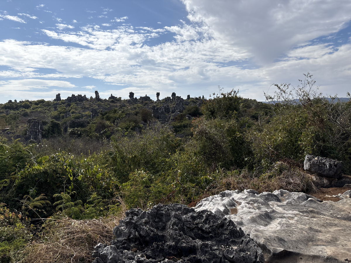Picture China Shilin Stone Forest 2026-01 303 - Lands Shilin Stone Forest